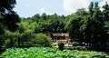 長沙出發(fā)到花明樓、韶山、張家界國家森林公園、天門仙山國家森林公園四日游